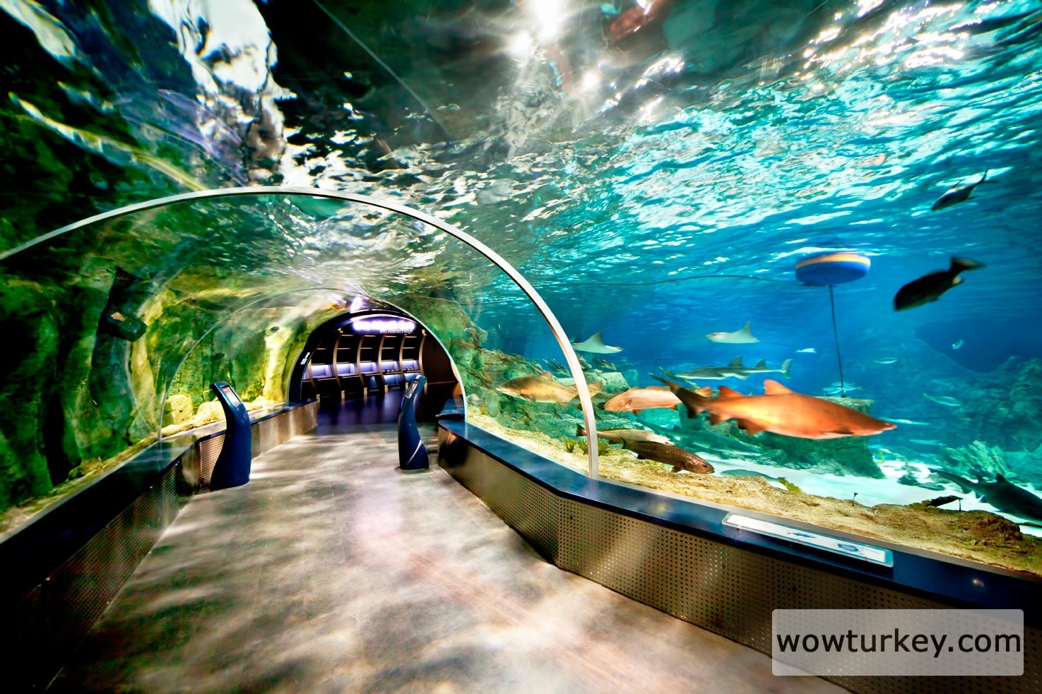 İstanbul Akvaryum