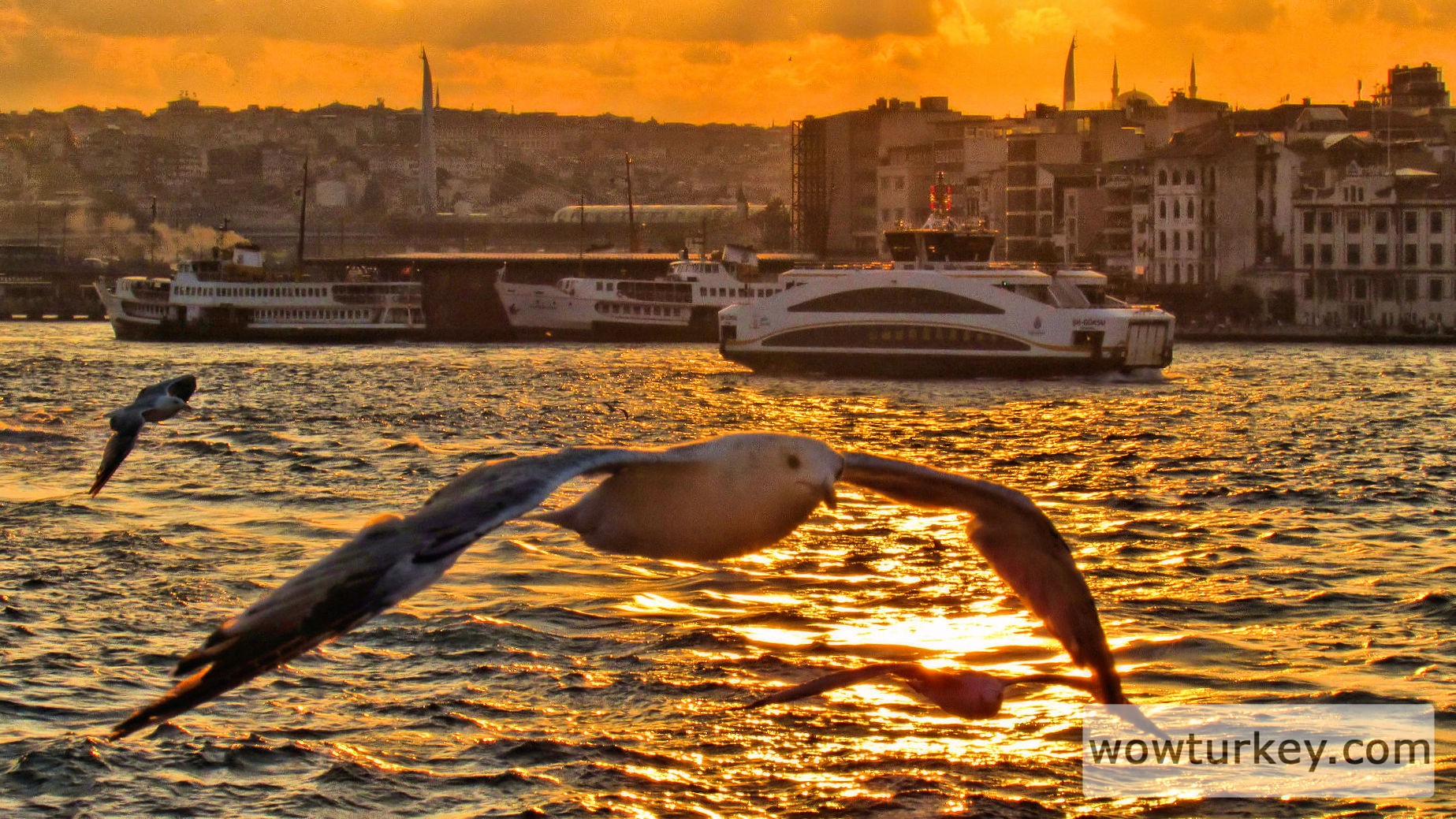 Istanbul_2019 (1279)2.jpg