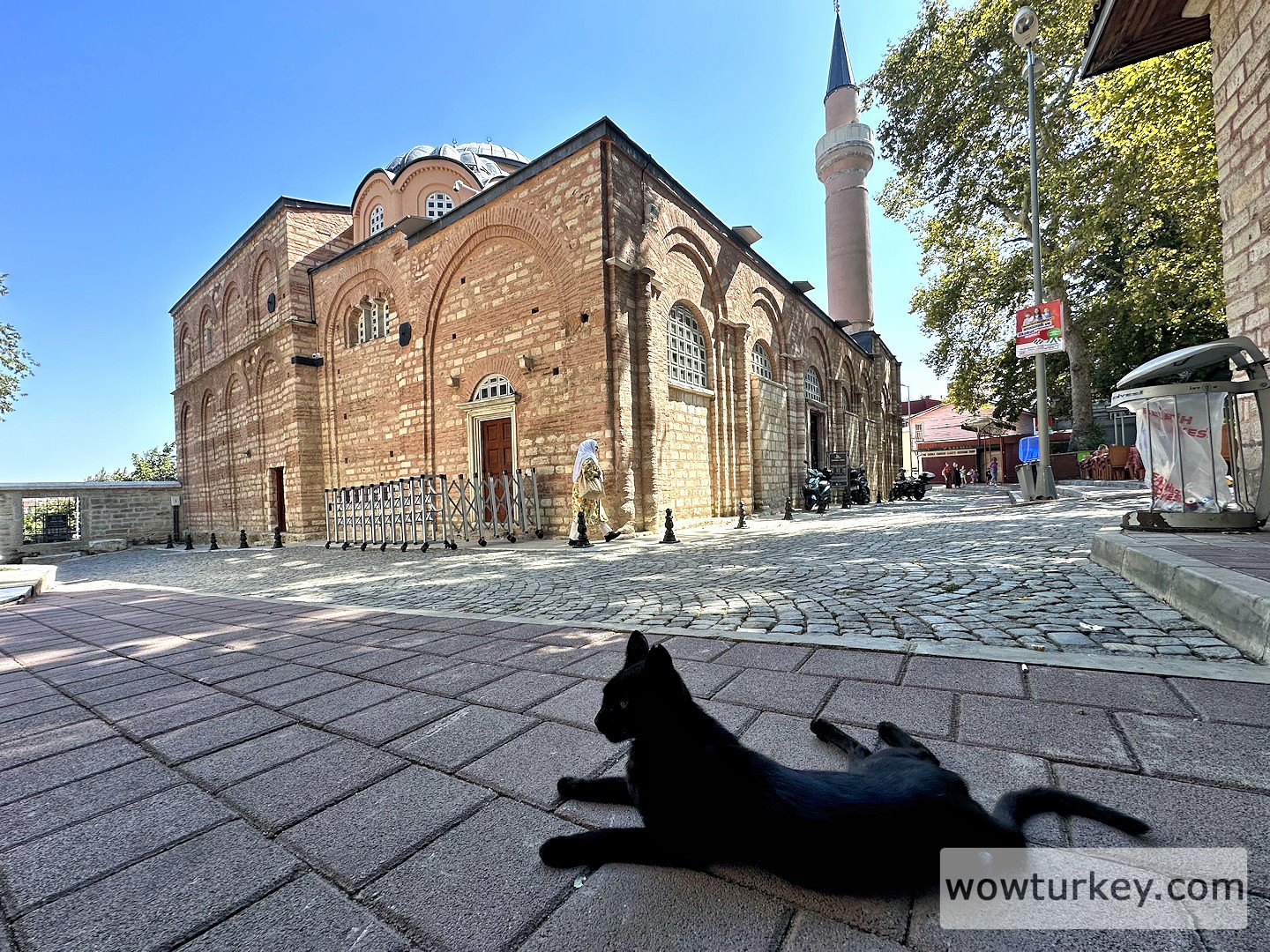 Istanbul_2024 (492).jpg