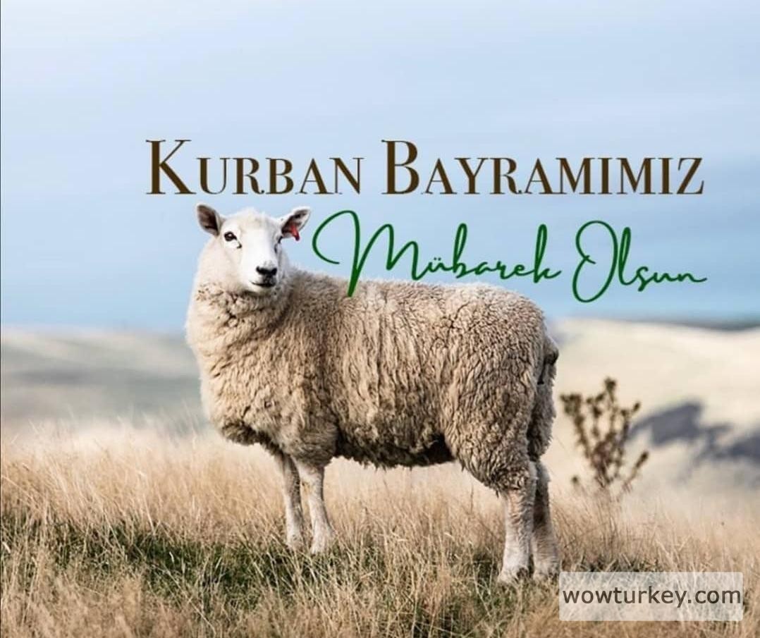 kurban-bayrami-mesajlari-resimli-paylas-909
