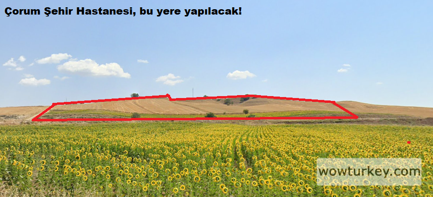 Kuruçay Tarla.png