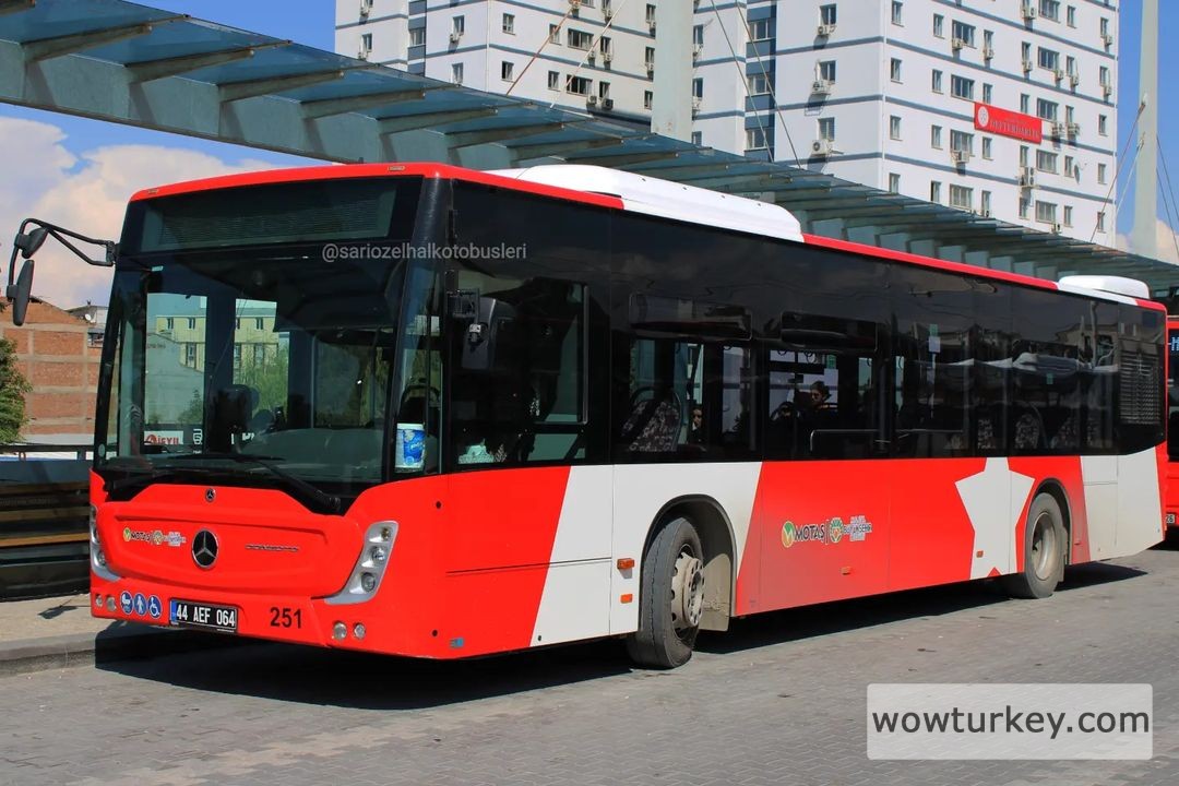 Motaş MB Conecto Solo 251.jpg