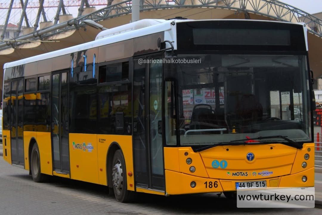 Motaş Temsa Avenue 186.jpg