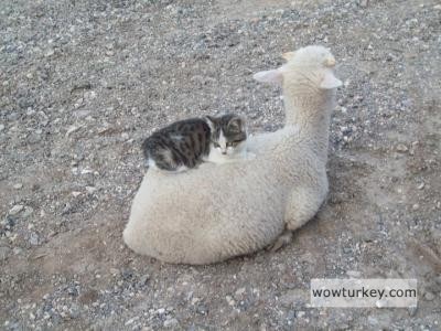 Nice place to sleep.jpg