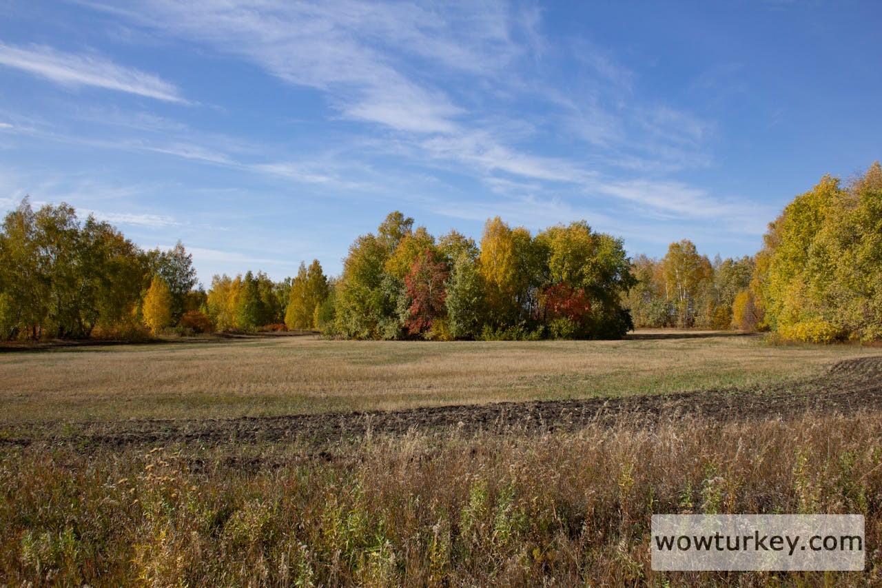 pexels-media-10137825