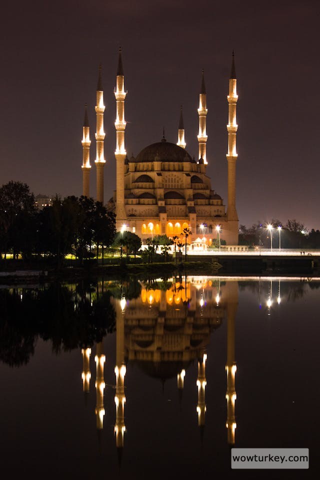 pexels-media-10450650