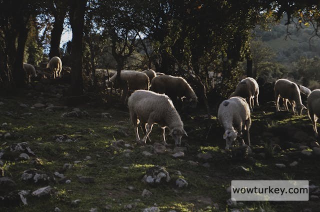 pexels-media-10959155