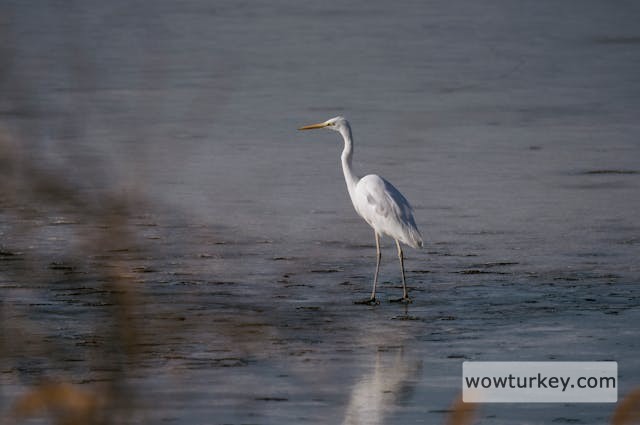 pexels-media-11297400