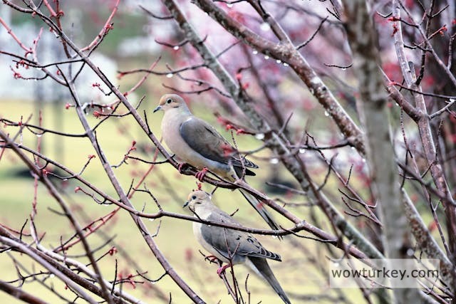 pexels-media-11575879