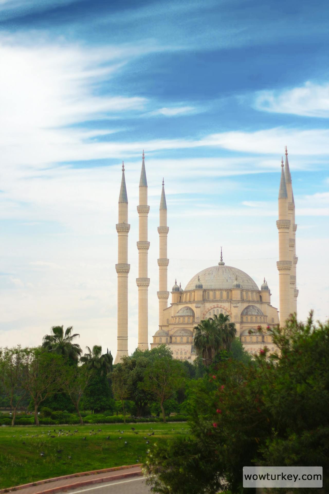 pexels-media-12088954