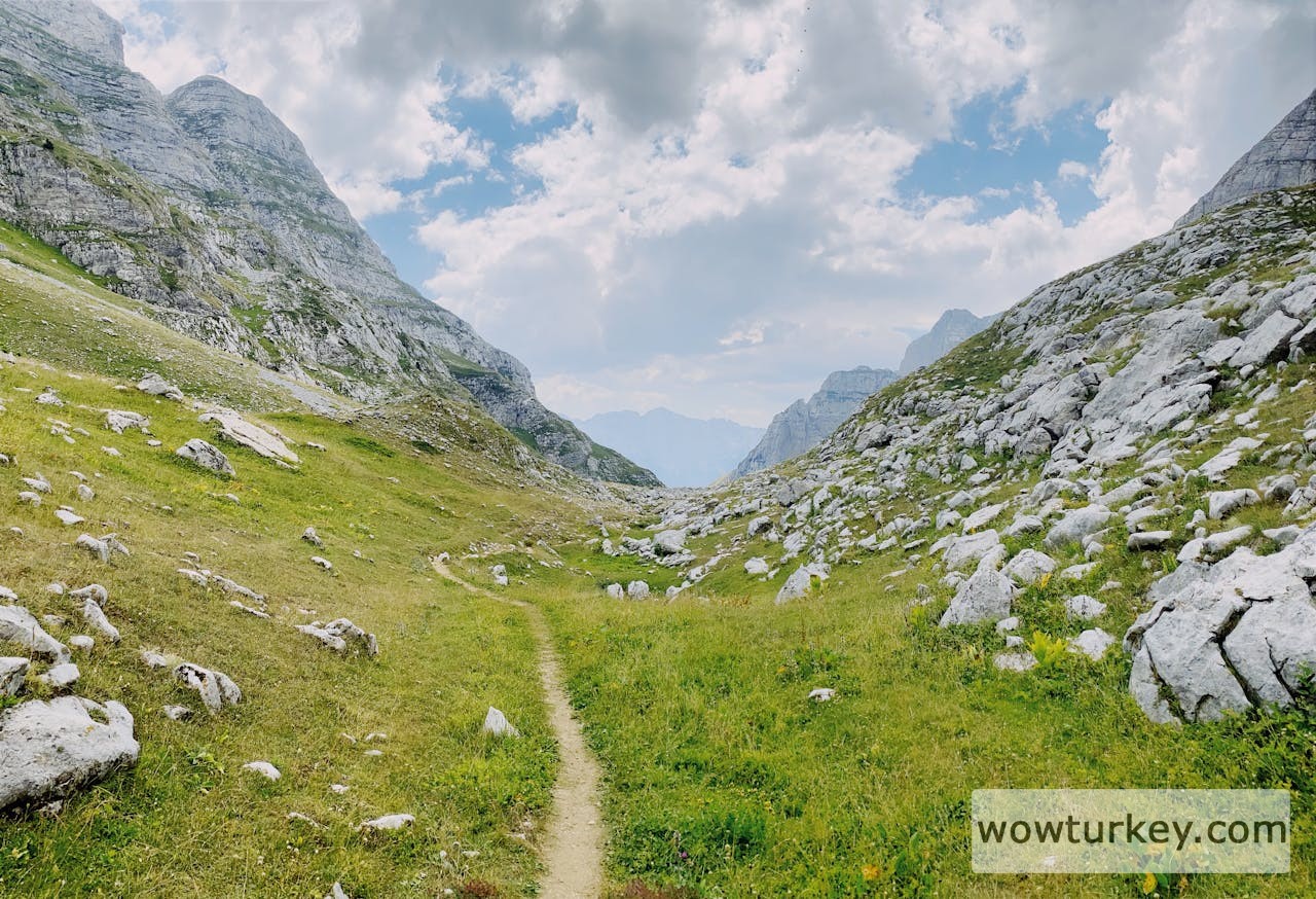 pexels-media-13261040