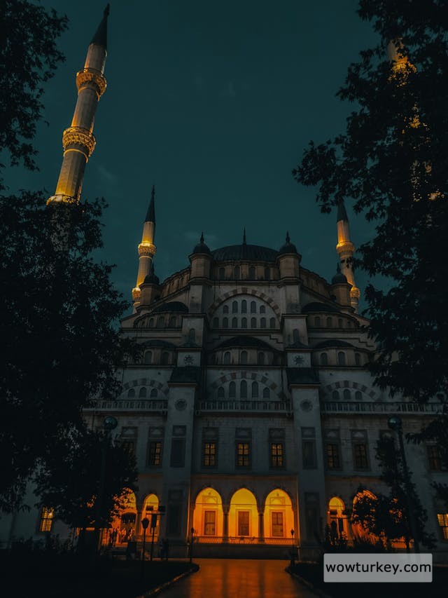 pexels-media-13720204