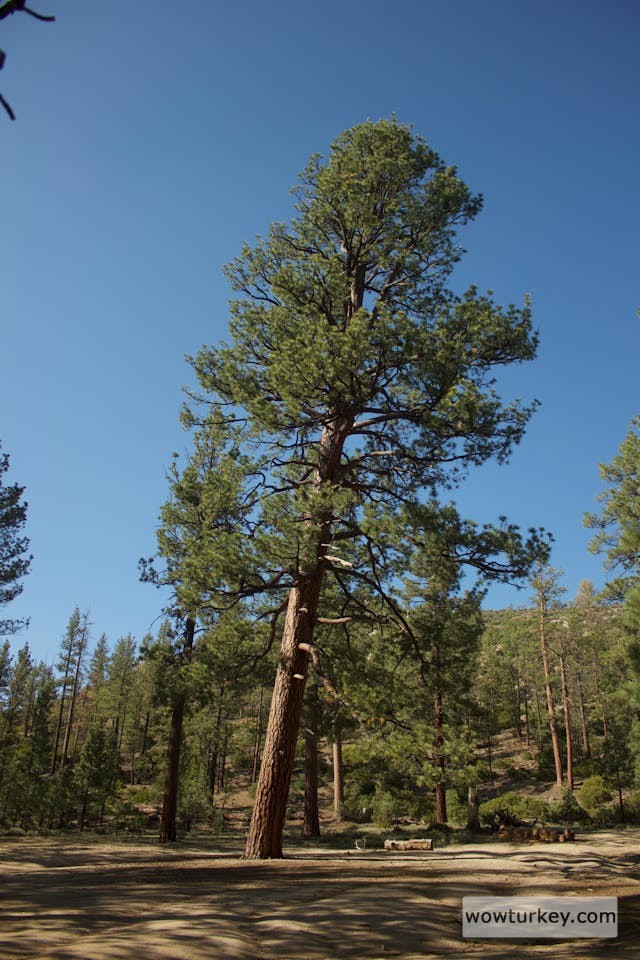 pexels-media-14093855