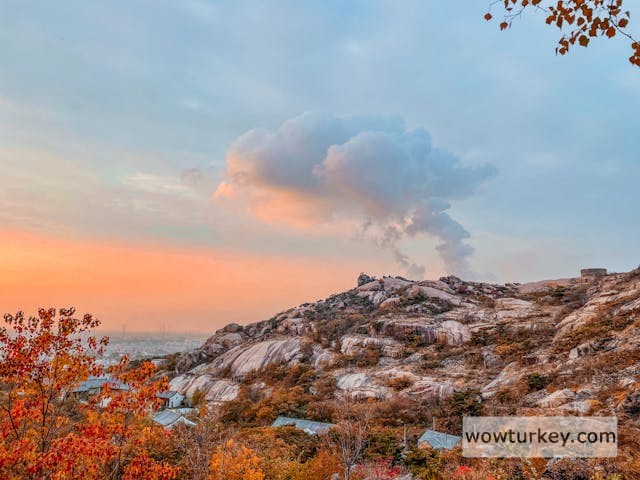 pexels-media-14612617