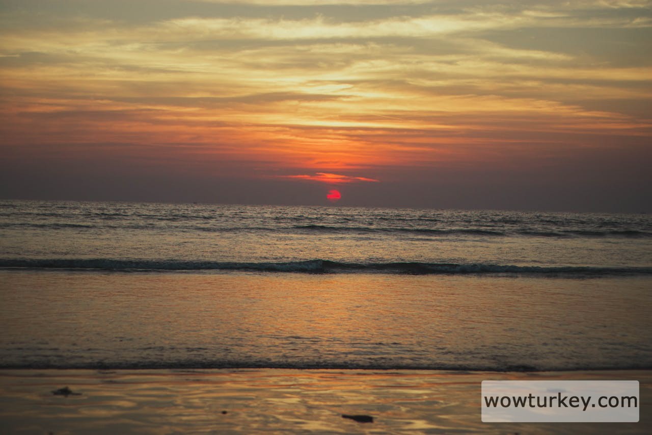 pexels-media-14851029