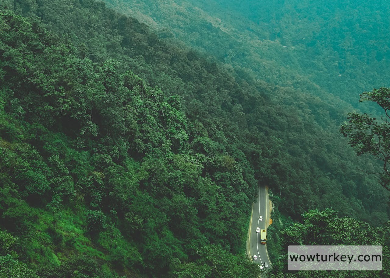 pexels-media-1587699