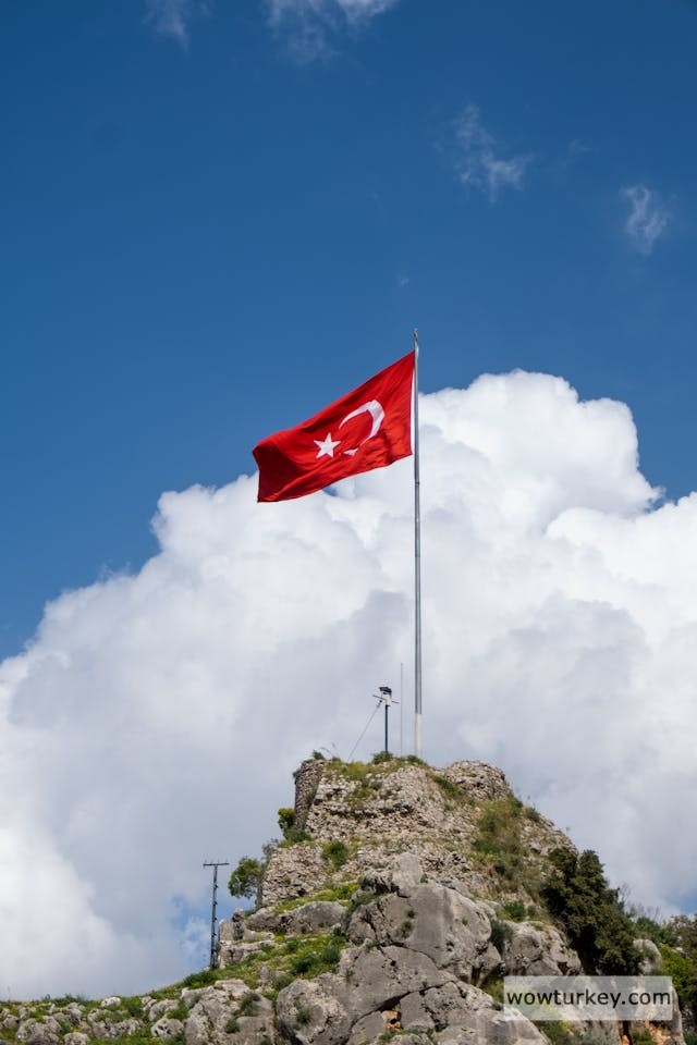 pexels-media-16128888