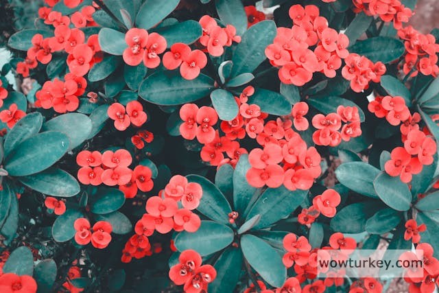 pexels-media-1666529