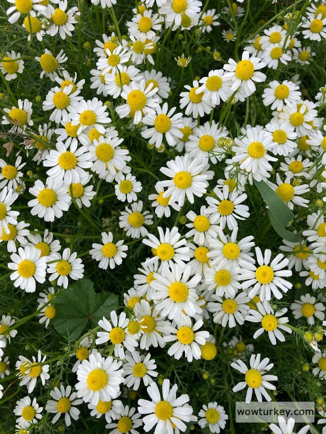 pexels-media-16891330