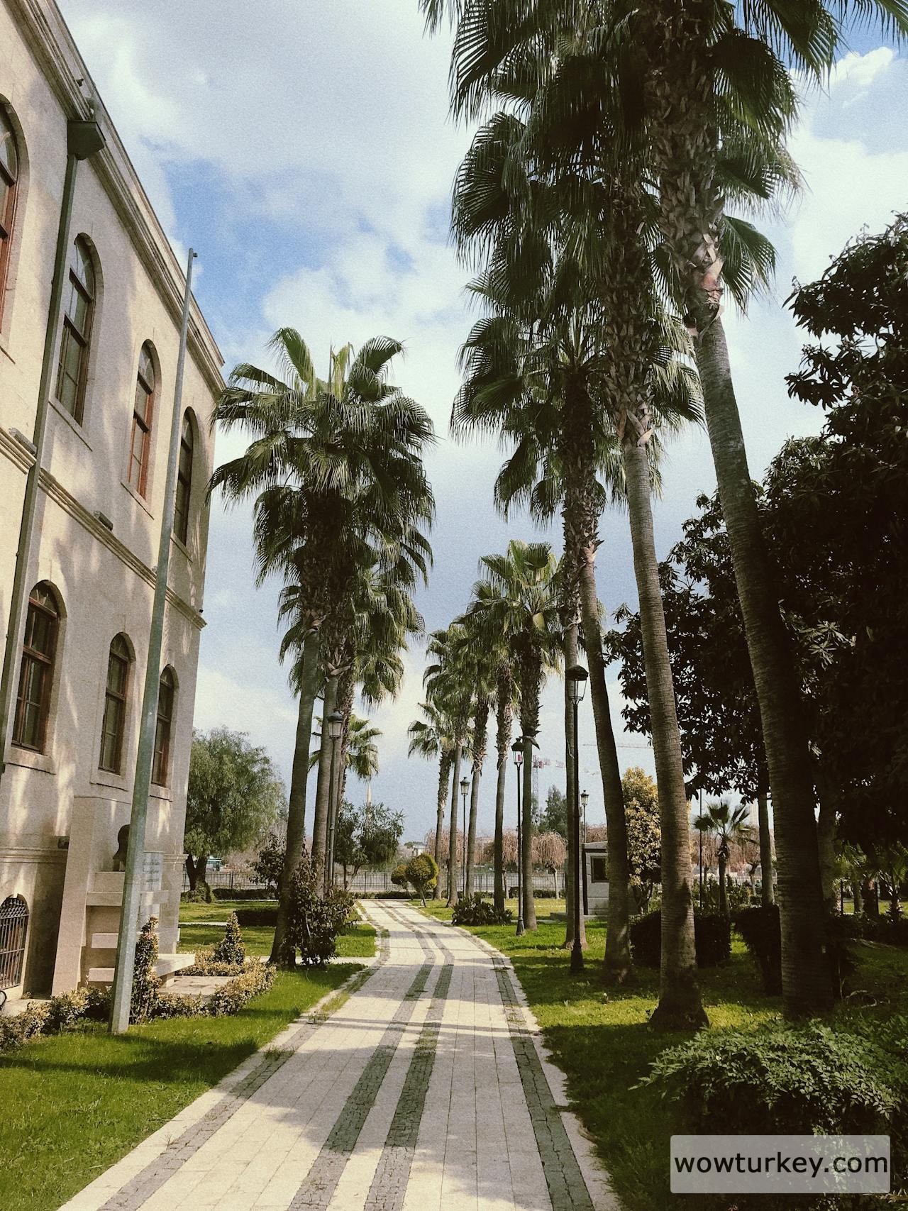 pexels-media-17114783