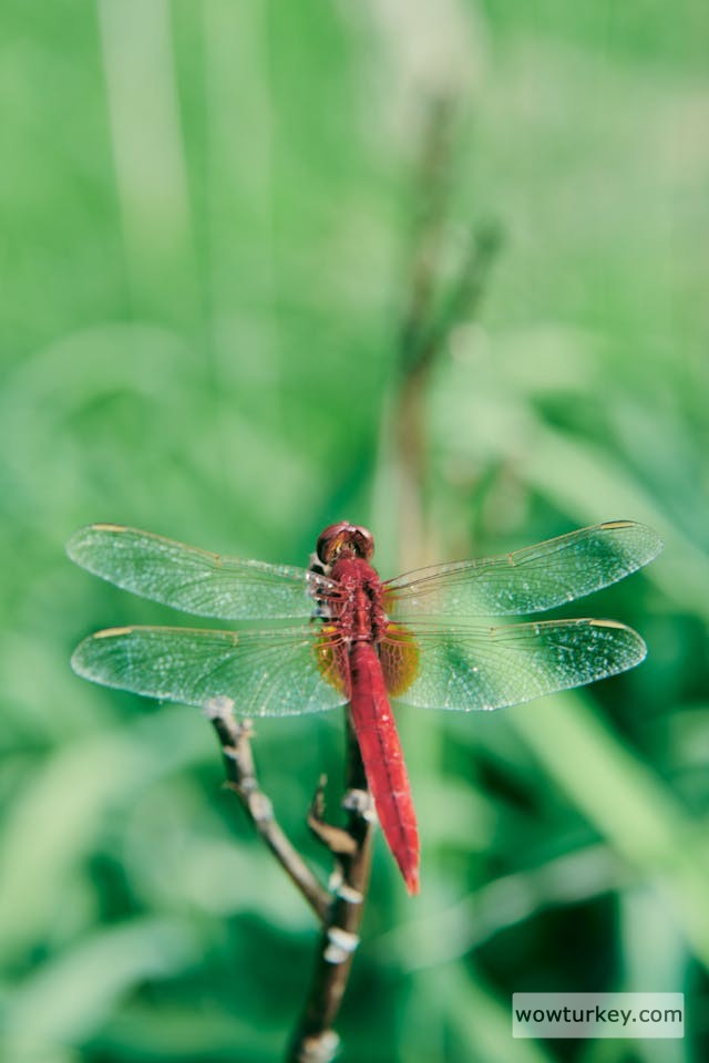 pexels-media-17924568