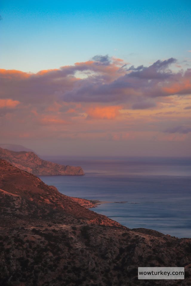 pexels-media-19964714