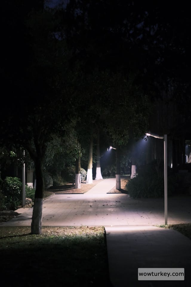 pexels-media-20504843