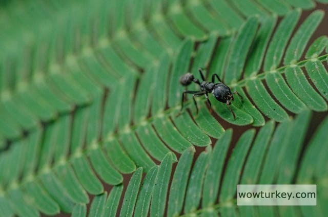 pexels-media-20927480