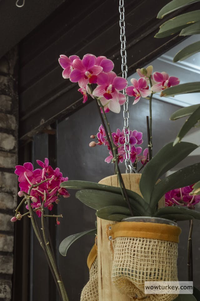 pexels-media-2180118