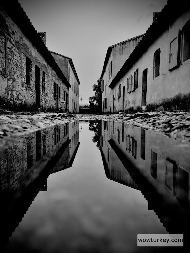 pexels-media-24425475