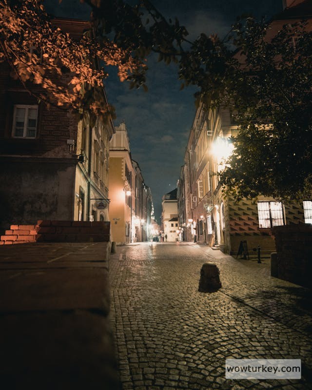 pexels-media-2645495