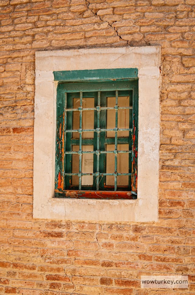 pexels-media-2909934