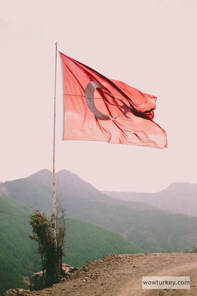 pexels-media-2911704