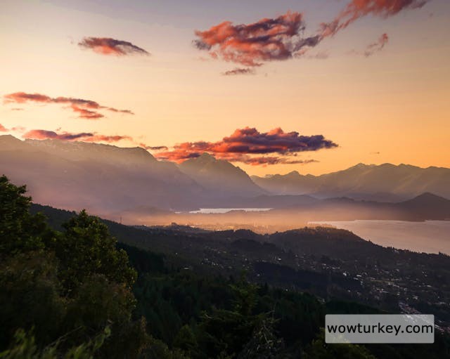 pexels-media-2912587