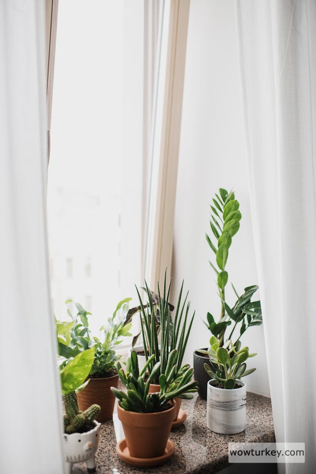 pexels-media-3952027