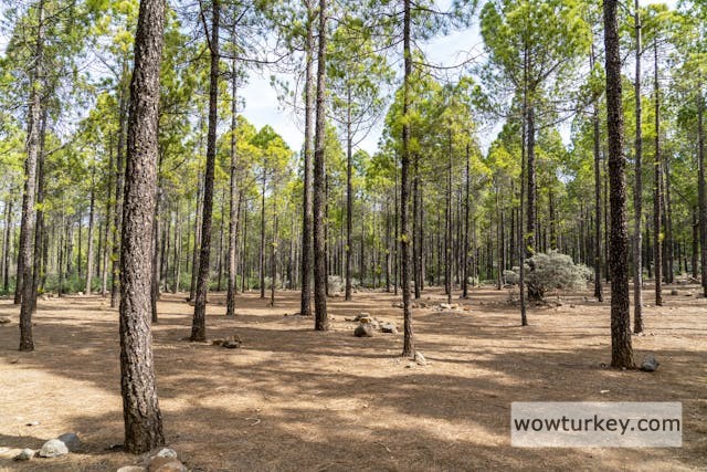 pexels-media-4051181