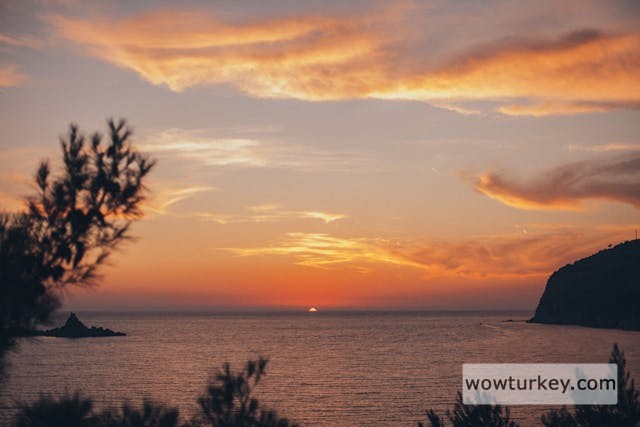 pexels-media-4206554