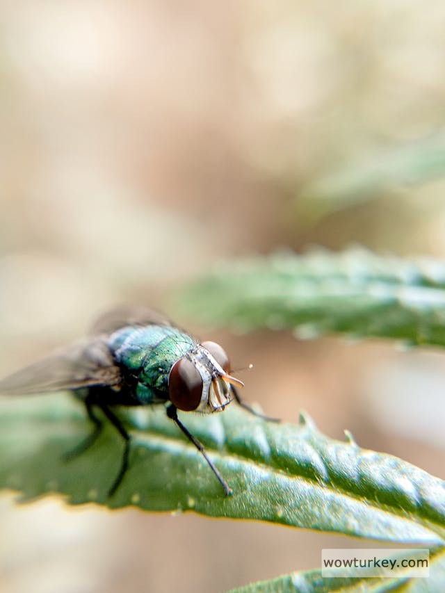 pexels-media-5125711