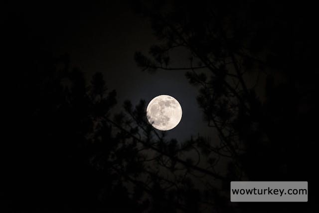 pexels-media-6398785