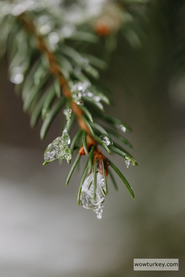 pexels-media-6607938