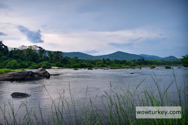 pexels-media-8058680