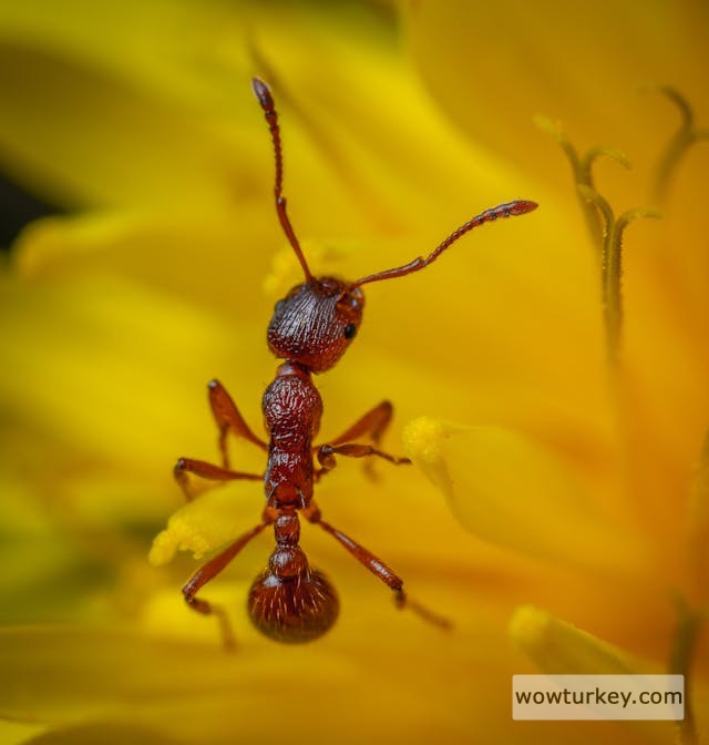 pexels-media-8169663