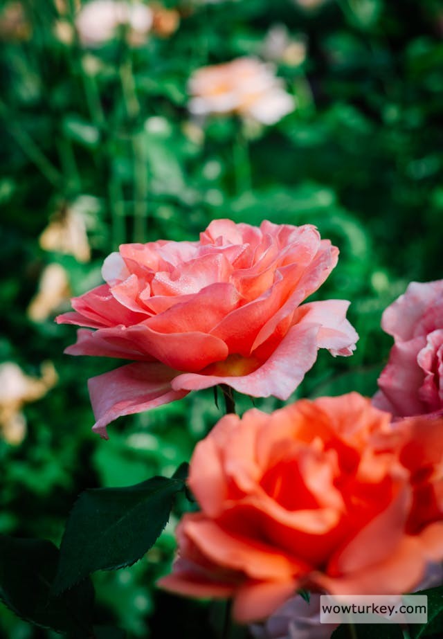 pexels-media-8364977