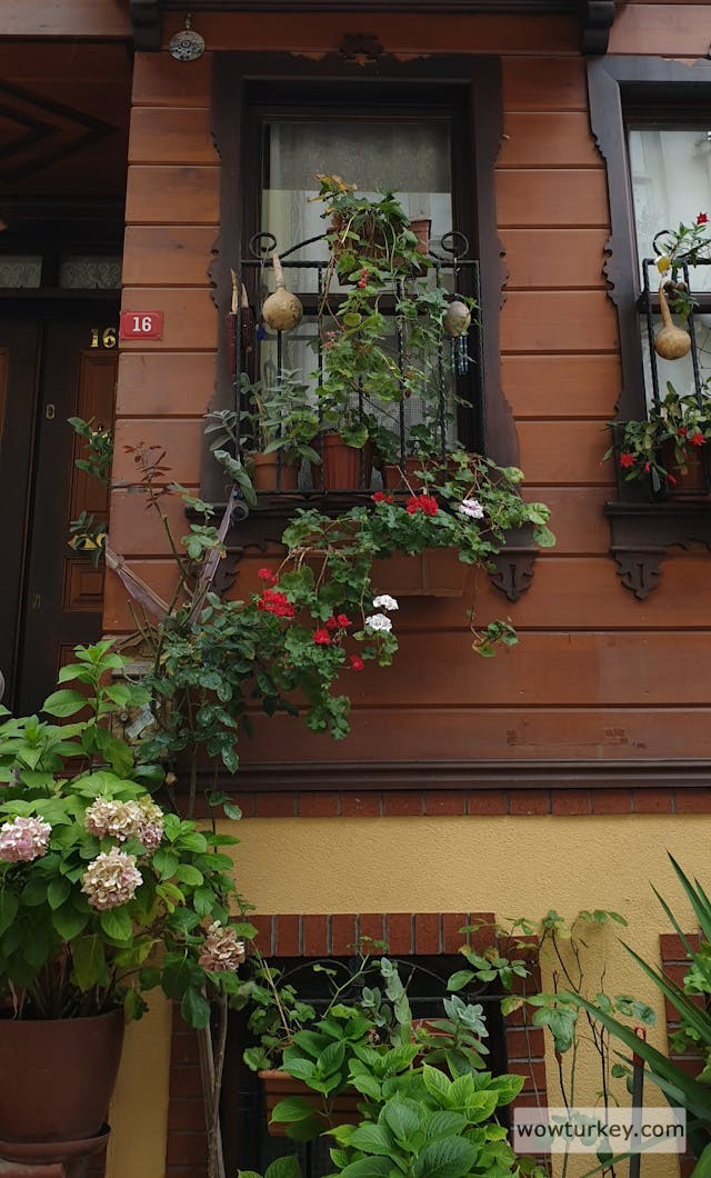 pexels-media-8385833