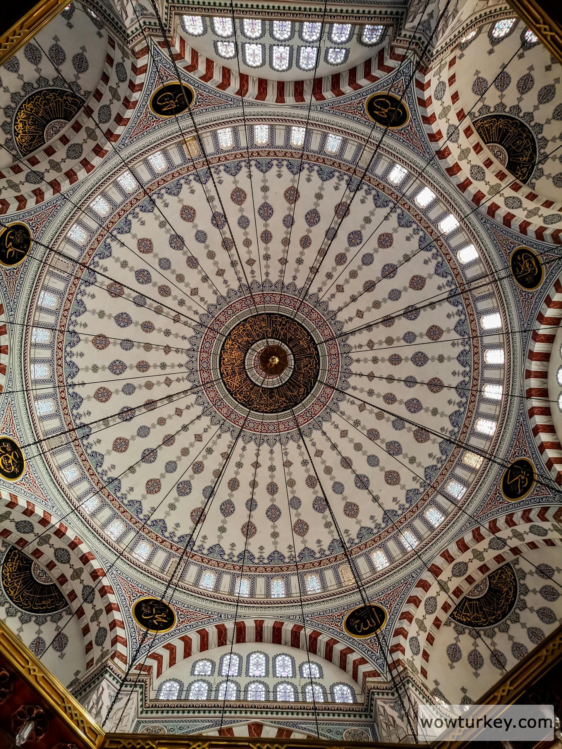 pexels-media-9050238