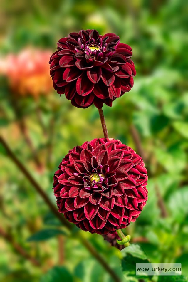 pexels-media-9874686