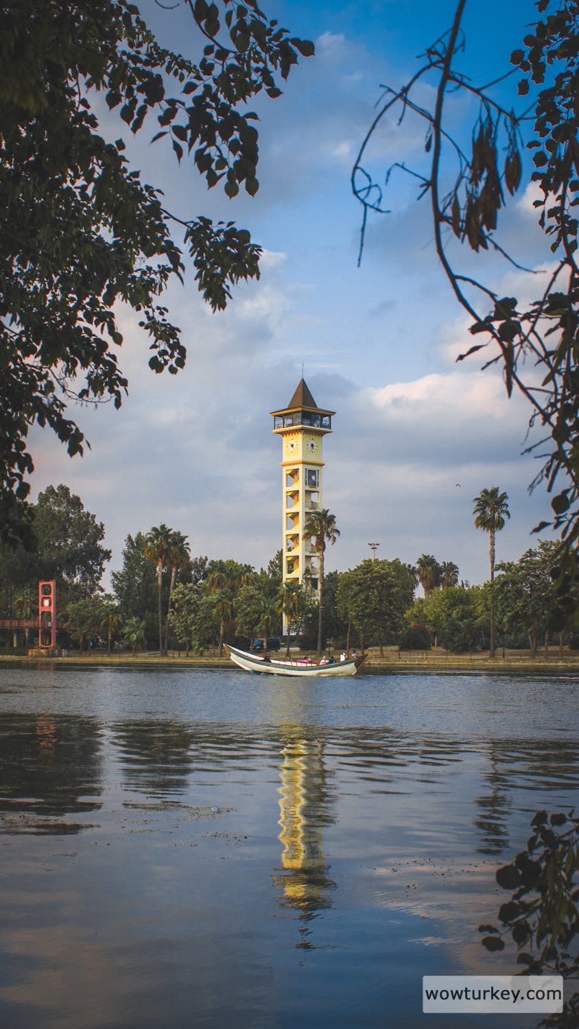 pexels-photo-13355784