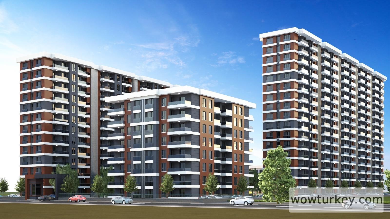 PHOTO-2026-01-10-21-18-56 5.jpg