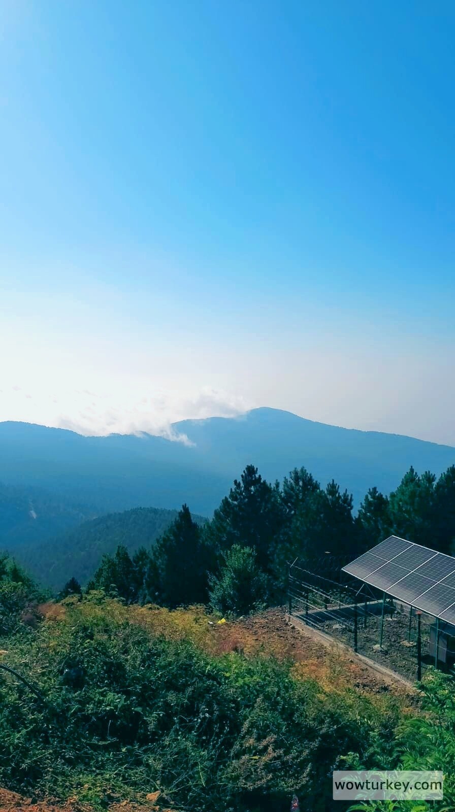 PICNIC_20240313_174200215