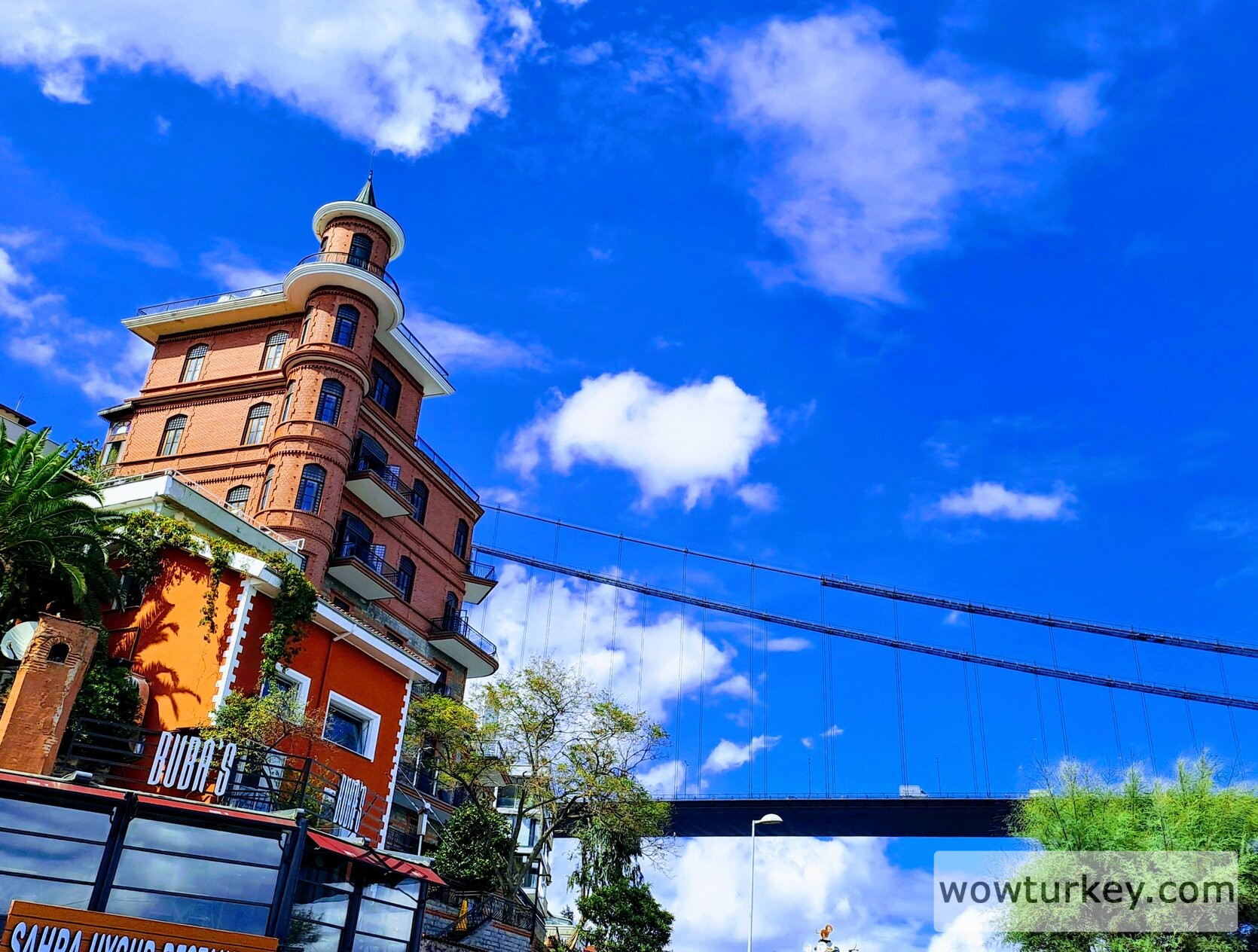 rsz_20240902_144550-effects